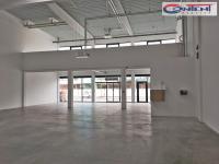 Pronájem skladu nebo výrobních prostor 700 m², Mladá Boleslav - Foto 1