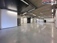 Pronájem skladu, výroby, stavba na klíč 2.460 m², Praha 9 - Horní Počernice, D10 - Foto 4