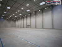 Pronájem skladu, výrobních prostor 10.000 m², Jindřichův Hradec - Foto 5