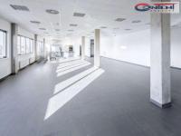 Pronájem skladu, výrobních prostor 4.000 m², Prostějov, D46 - Foto 8