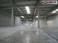 Pronájem skladu, výrobních prostor 3.500 m², Zdiby D8 - Foto 10