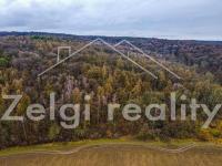 Litenčice: Prodej pozemků orné půdy, travního porostu a lesa 16677m2 - dji_fly_20240223_135148_351_1708692735914_photo.jpg