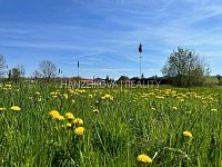 prodej stavebního pozemku o výměře 1500 m2, Libníč u Českých Budějovic - IMG_4185.jpg