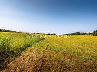 prodej 5 stavebních pozemků o celkové výměře 4385 m2, Dubičné u Českých Budějovic - 25-06-09 Dubičné Pozemek Foto_04 (1).jpg