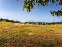prodej 5 stavebních pozemků o celkové výměře 4385 m2, Dubičné u Českých Budějovic - 25-06-09 Dubičné Pozemek Foto_12.jpg