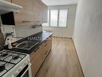 Pronájem bytu 2+1, Plzeňská ulice - Nabízíme k pronájmu byt 2+1 v panelovém domě v blízkosti řeky Vltavy, a to v Plzeňské ulici.