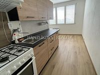 Pronájem bytu 2+1, Plzeňská ulice - Nabízíme k pronájmu byt 2+1 v panelovém domě v blízkosti řeky Vltavy, a to v Plzeňské ulici.
