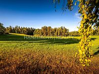 prodej stavebních pozemků 3914 m2 v Dubičném u Českých Budějovic - 25-09-19 Dubičné Pozemek Foto_49.jpg