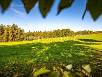 prodej stavebních pozemků 3914 m2 v Dubičném u Českých Budějovic - 25-09-19 Dubičné Pozemek Foto_51.jpg