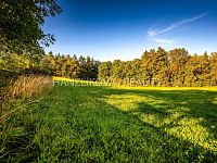 prodej stavebního pozemku 1630 m2 v Dubičném u Českých Budějovic - 25-09-19 Dubičné Pozemek Foto_54.jpg