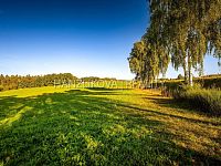 prodej stavebního pozemku 1630 m2 v Dubičném u Českých Budějovic - 25-09-19 Dubičné Pozemek Foto_60.jpg