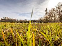 prodej stavebního pozemku o výměře 4056 m2, Mačkov, okres Strakonice - 25-11-13 Mačkov Pozemek Foto_33.jpg