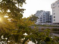 Pronájem nového bytu 1+kk s balkonem, byt B.5.8, rezidence DLOUHÁ LOUKA 2.etapa - Pronájem nového bytu 1+kk s balkonem, byt B.5.8, rezidence DLOUHÁ LOUKA 2.etapa