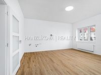 Výjimečná investiční příležitost v Havl. kolonii – 2 zrekonstruované byty v jednom, zahrada, sklep - fotografie bytu 3kk