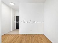 Výjimečná investiční příležitost v Havl. kolonii – 2 zrekonstruované byty v jednom, zahrada, sklep - fotografie bytu 3kk