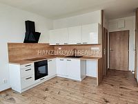 Pronájem kompletně zrekonstruovaného bytu 1+1 s balkónem, J. Opletala, sídliště Šumava