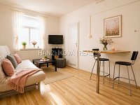 Pronájem zařízeného bytu 1+kk, Lipenská ul. - byt 1kk, Lipenská 4.jpg
