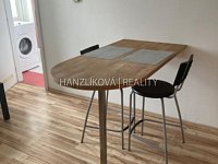 Pronájem zařízeného bytu 1+kk, Lipenská ul. - pronájem bytu 1+kk, Lipenská, České Budějovice