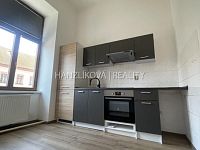 Pronájem bytu 1+1 s odděleným kuch. koutem, 47 m2,Žižkova tř. České Budějovice - 1+kk, Žižkova tř.
