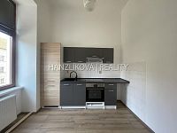 Pronájem bytu 1+1 s odděleným kuch. koutem, 47 m2,Žižkova tř. České Budějovice - 1+kk, Žižkova tř.