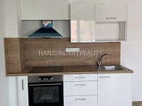 Pronájem novostavby bytu 1+kk s terasou a parkovacím stáním,  Bytový dům  Suché Vrbné - Pronájem novostavby bytu 1+kk s terasou a parkovacím stáním,  Bytový dům  Suché Vrbné