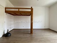 Pronájem bytu 1+1 s odděleným kuch. koutem, Žižkova tř. České Budějovice - Pronájem bytu 1+1 s odděleným kuch. koutem, Žižkova tř. České Budějovice