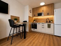 Pronájem kompletně zařízeného bytu 1+kk s gar. stáním, balkonem, Dobrovodská ul., ČB - 2.jpg