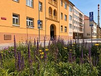 Pronájem bytu 2+1, Roháče z Dubé, Havlíčkova kolonie, České Budějovice - E23F55F9-E1AC-4A13-89F3-AF434FB5E10E.jpg