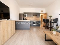 Pronájem novostavby bytu 2+kk s terasou, Suché Vrbné - 3.jpg