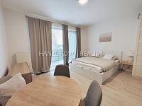 Pronájem novostavby bytu 1+kk s balkonem, byt B.6.10, rezidence DLOUHÁ LOUKA 2.etapa - Pokoj, pronájem bytu 1+kk, Dlouhá Louka, České Budějovice