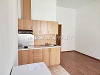 Pronájem bytu 1+kk (č.13), Riegrova ulice - Pokoj s kuchyní, pronájem bytu 1+kk, Riegrova ul.