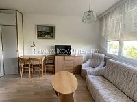 Pronájem  bytu 1+1 s balkónem, J. Opletala, sídliště Šumava - Pronájem  bytu 1+1 s balkónem, J. Opletala, sídliště Šumava