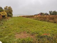 Prodej stavebního pozemku 721 m² , Dolní Životice, okres Opava - IMG_7389.JPG