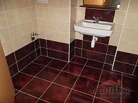 Pronájem velmi hezkého bytu 2+kk, 64m2, se zahradou, Opava, ul. Pekařská - SAM_3917.JPG