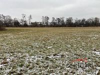 Prodej stavebního pozemku cca 11.000 m2 v obci Opava-Komárov, okres Opava - IMG_2131.jpeg