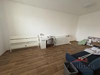 Pronájem krásného, zreknstruovaného bytu 1+1, 38m2, Opava, ul. Zámecký okruh - IMG_9728.JPG