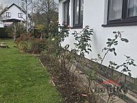 Prodej chaty se zahradou, obec Pocheň, Brumovice u Opavy - 20251025_142806.jpg