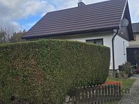 Prodej chaty se zahradou, obec Pocheň, Brumovice u Opavy - 20251025_142827.jpg