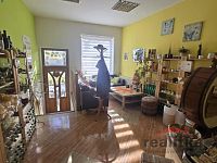 Prodej nebytového prostoru, 37m2, Opava, ul. Nákladní