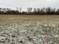 Prodej komerčního stavebního pozemku o výměře cca 10 900 m² – Opava-Komárov - IMG_2139.jpeg