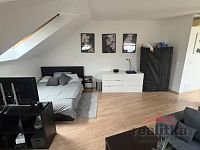 Pronájem krásného velkoprostorového bytu 1+kk, 50m2, Opava, ul. Na Rybníčku - IMG-20260614-WA0012.jpg