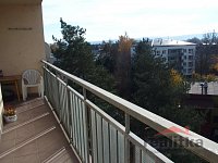 Pronájem hezkého bytu 1+1, 37m2 s velkou lodžií, Opava, ul. Holasická - PB051371.JPG