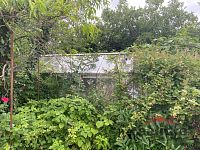Prodej zahradní chatky s přístavkem 20 m2 a přenechání podnájmu zahrádky 317 m2, Městské sady, Opava - IMG_5865.jpeg