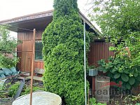 Prodej zahradní chatky s přístavkem 20 m2 a přenechání podnájmu zahrádky 317 m2, Městské sady, Opava - IMG_5867.jpeg