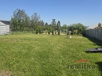 Pronájem bytu 2+1, 70m2 se zahradou a parkováním, Nové Sedlice, ul. Hlavní - 20260526_100340.jpg