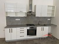 Pronájem bytu 104 m2, 3+kk se zahradou, ul. Hauerova, Opava
