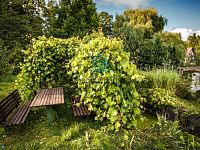 Novostavba rezidenční chaty se zahradou za cenu bytu –Netolice, 22 km od Českých Budějovic - IMG_8618.jpg