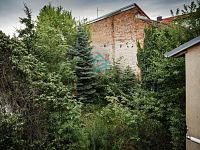 Prodej historického činžovního domu centrum České Budějovice, Lipenská  – investiční příležitost - 7-00009 IMG_8529.jpg