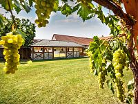 Uzavřený statek s wellness – výjimečné spojení životního stylu a investice v jižních Čechách. - IMG_8698ED-Z.jpg