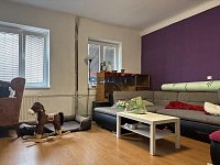 Prodej rodiného domu Nové Hodějovice Ke Studánce 1245m2 - obývák spodní